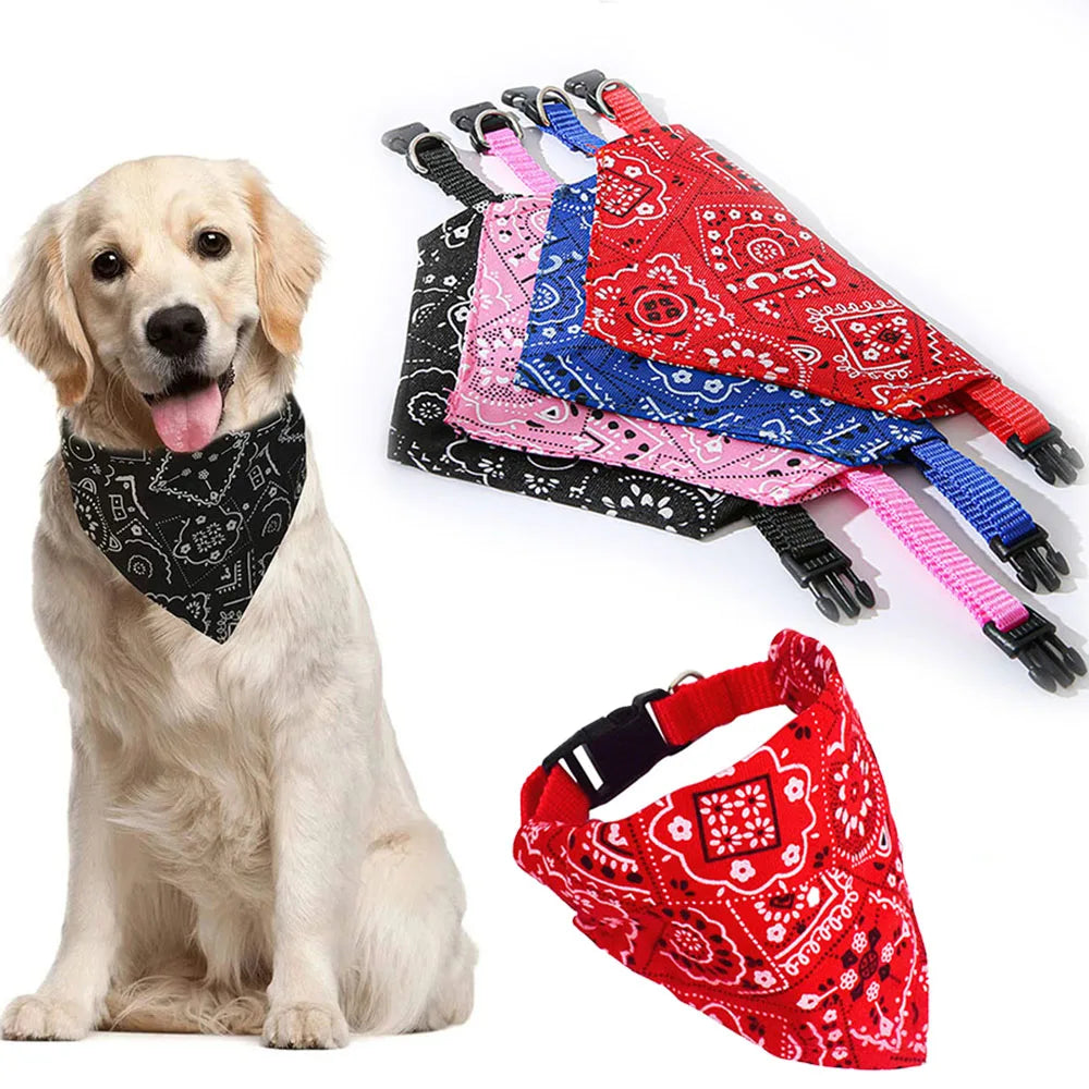 En esta colecion encuentras los mejores productos para tus mascotas.