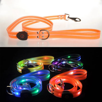Correa para caminar para perros con brillo LED.