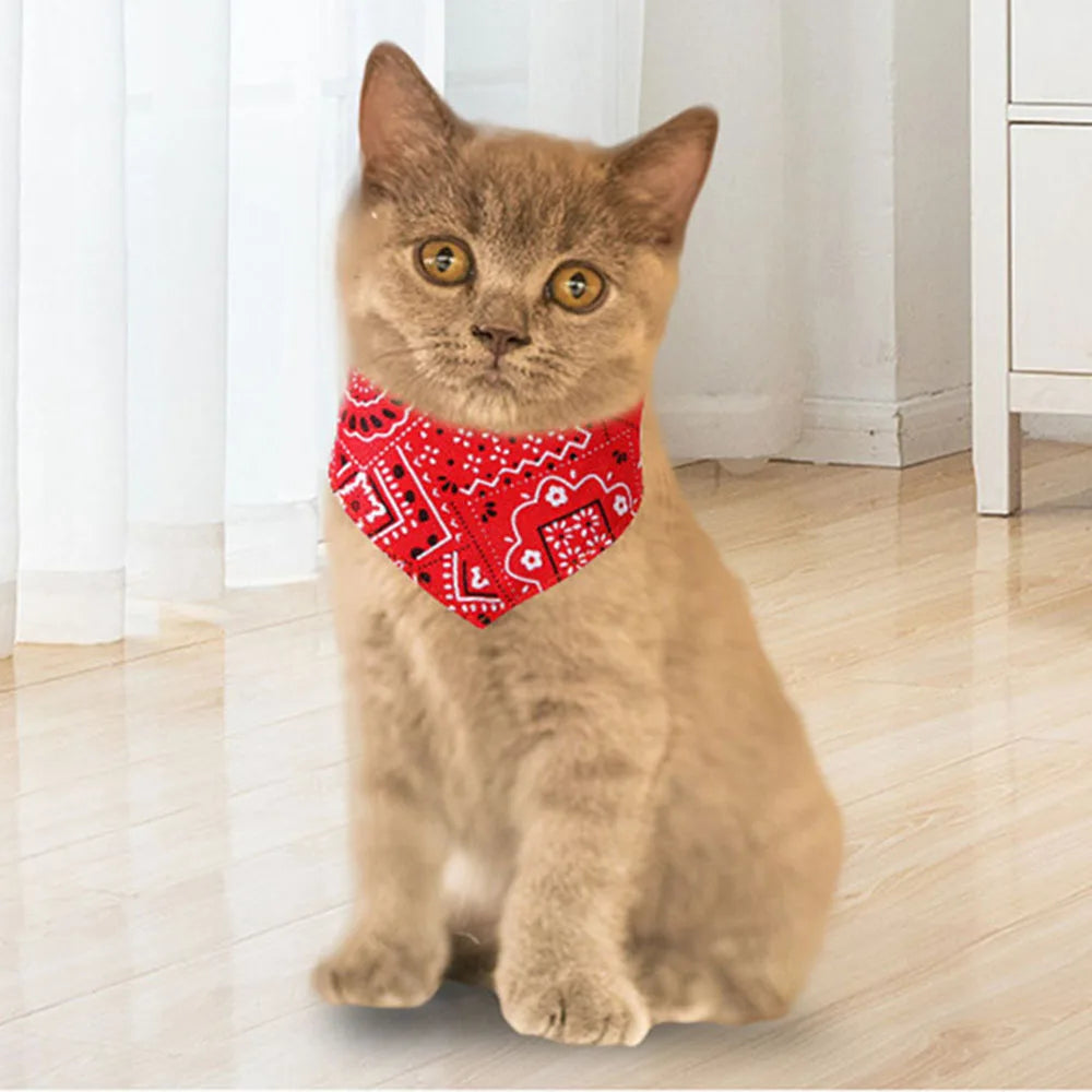 Elegante collar tipo bandana para mascotas