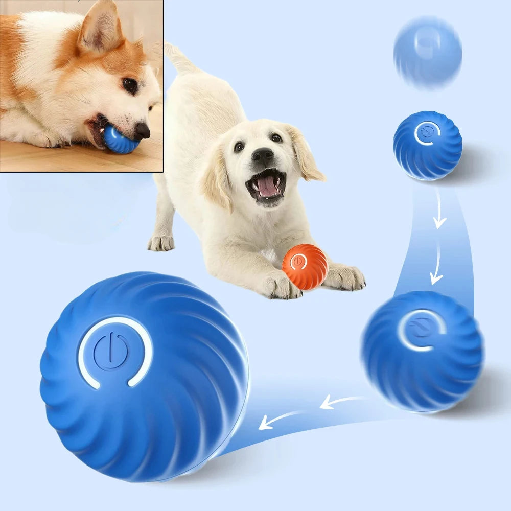 Pelota de juguete inteligente que rebota para perros