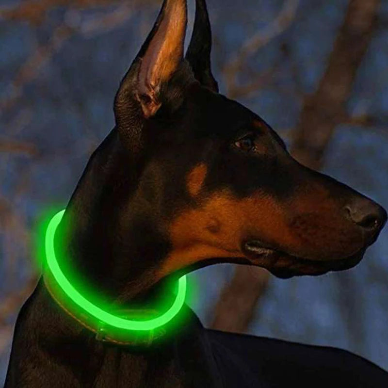 Collar para mascotas con brillo de seguridad LED