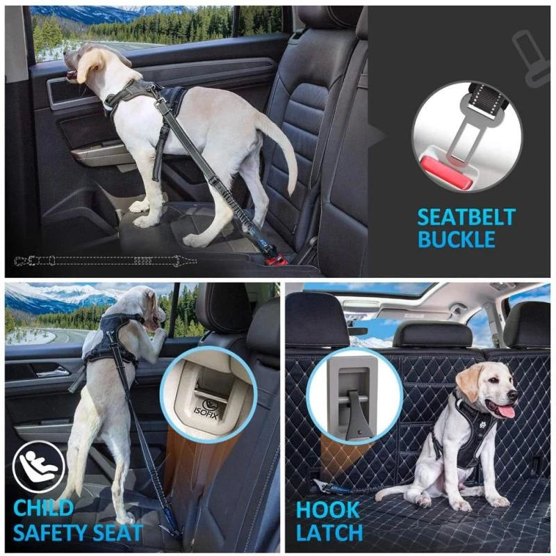 Cinturón de seguridad reflectante para perros en el coche