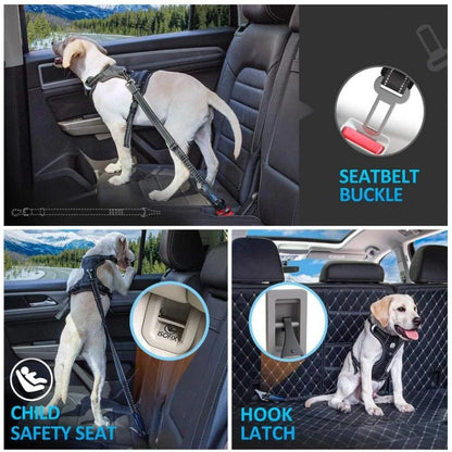 Cinturón de seguridad reflectante para perros en el coche