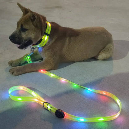 Correa para caminar para perros con brillo LED.