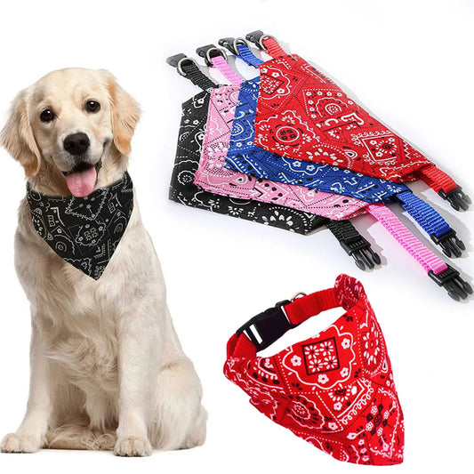 Elegante collar tipo bandana para mascotas