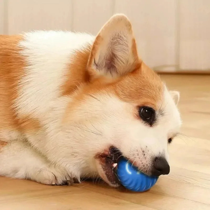 Pelota de juguete inteligente que rebota para perros