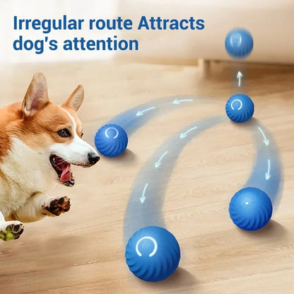 Pelota de juguete inteligente que rebota para perros