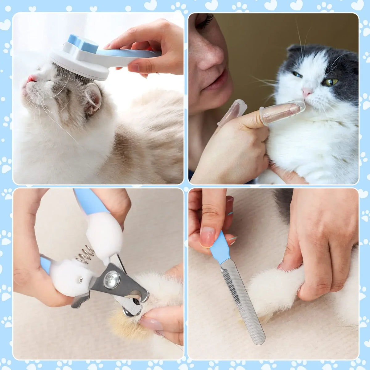 Kit de cuidado definitivo para gatos: 8 piezas