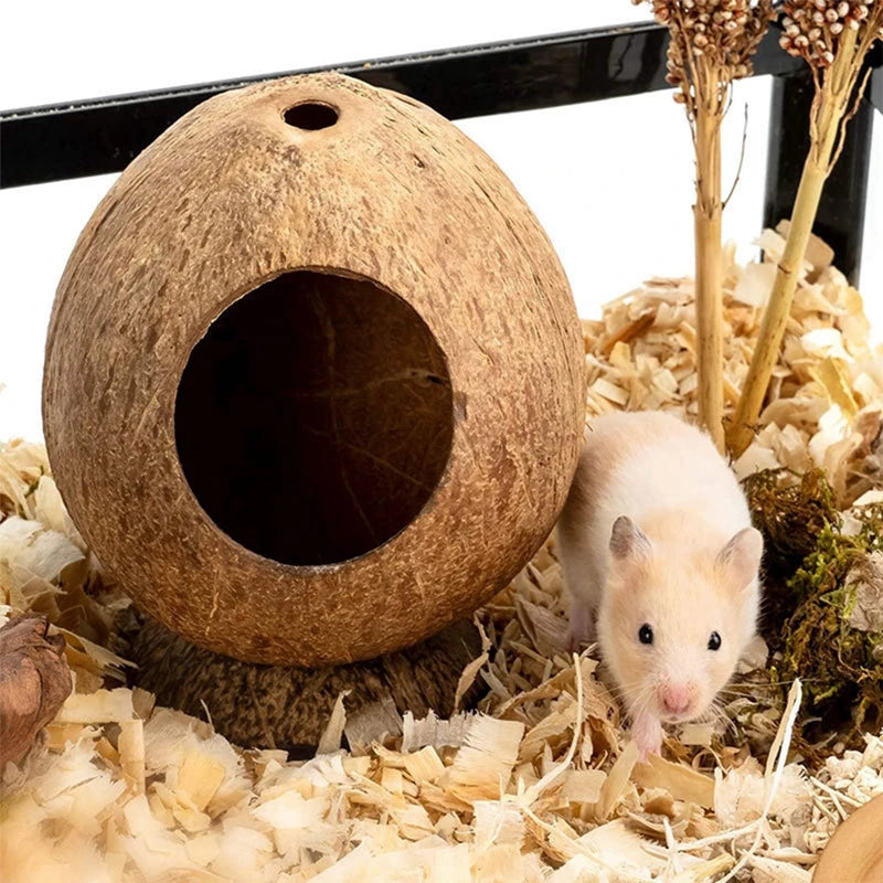 Escondite de hámsteres con cáscara de coco