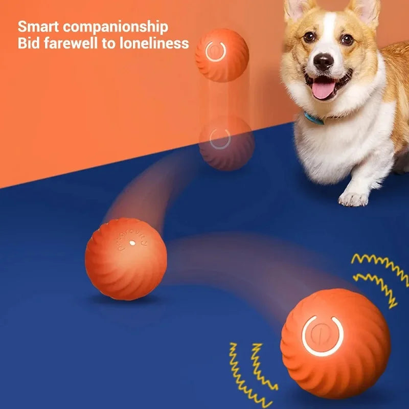 Pelota de juguete inteligente que rebota para perros