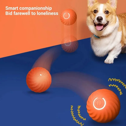 Pelota de juguete inteligente que rebota para perros