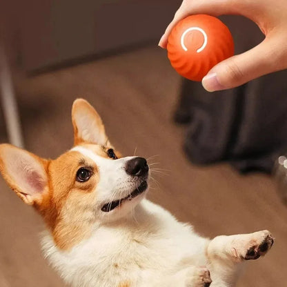 Pelota de juguete inteligente que rebota para perros