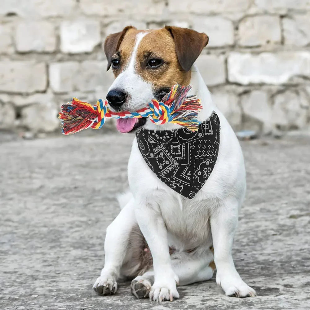 Elegante collar tipo bandana para mascotas