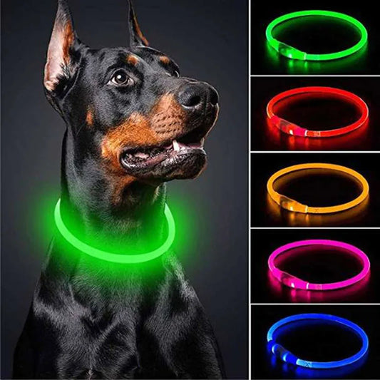 Collar para mascotas con brillo de seguridad LED