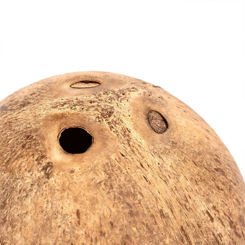 Escondite de hámsteres con cáscara de coco