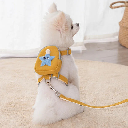 Arnés y correa para mascotas Starry